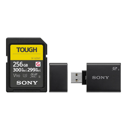 256GB Capacity / Pack – 256GB + Sony Reader