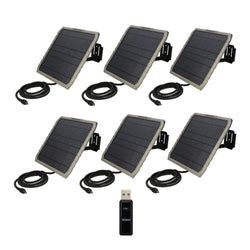 Pack Size – 6-Pack