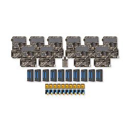 Pack Size – 10-Pack