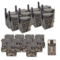 Pack Size – 10-Pack