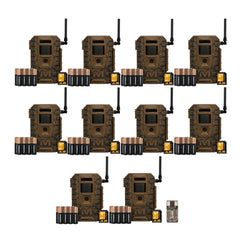 Pack Size – 10-Pack