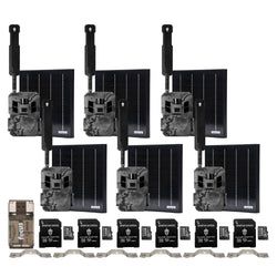 Pack Size – 6-Pack