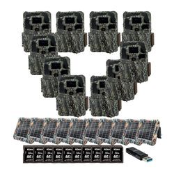 Pack Size – 10-Pack