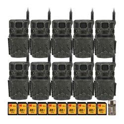 Pack Size – 10 Pack
