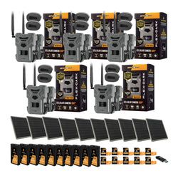Pack Size – 10-Pack