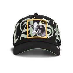 Style – Black