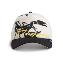 Style – Scorpion