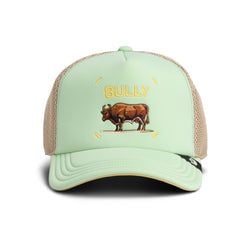 Style – Seafoam Green