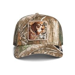 Style – Brown