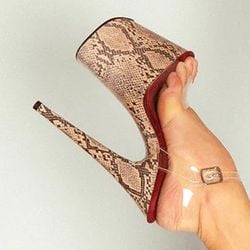 Desert Fang (Snake Print)