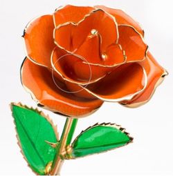 Color – Orange