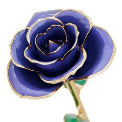 Color – Imperial Purple
