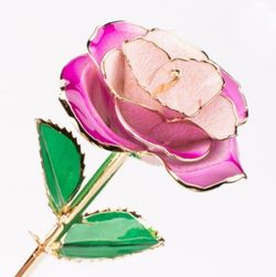 Color – Pink & Purple