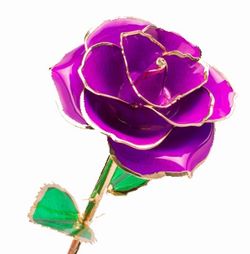 Color – Purple
