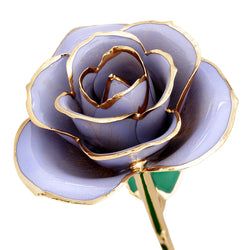 Color – Sweet Lilac