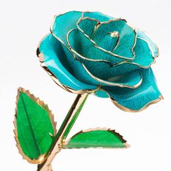 Color – Teal