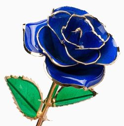 Color – Dark Blue