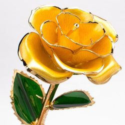 Color – Yellow