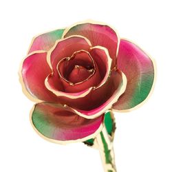 Color – Pink & Green