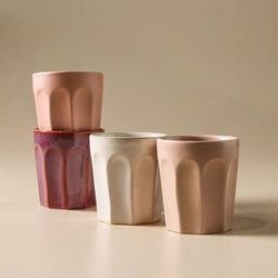 Collection – Favourite Sips