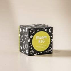 Dream Big