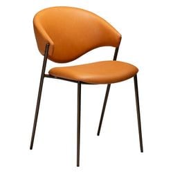 Färg – Pumpkin Spice/Antique Brass - Konstläder