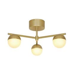 Utföranden – Plafond