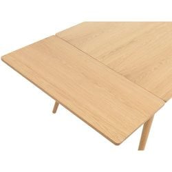 Förlängningsskiva