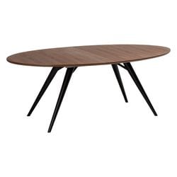 Matbord 200-300 cm Ovalt