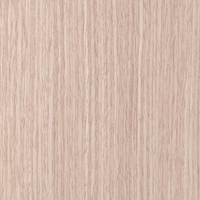 Bambu