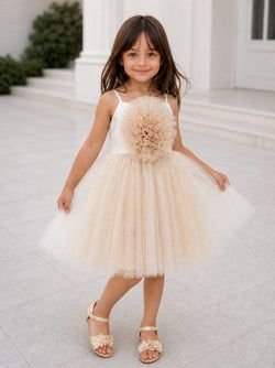 Color – Beige