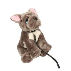Kleur – Bruin