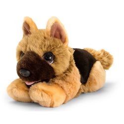 Kleur – Bruin