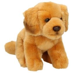Kleur – Bruin - lichtbruin