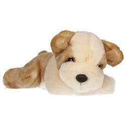 Kleur – Beige