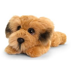 Kleur – Bruin