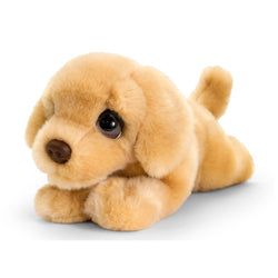 Kleur – Bruin