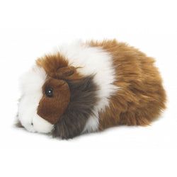 Kleur – Bruin