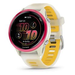 Case – Raspberry