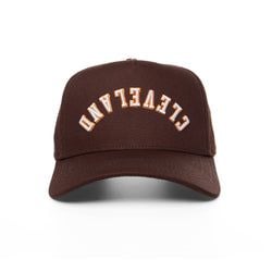 COLOR – BROWN