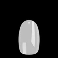 Kleur – Kort- Naturel