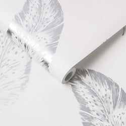 Color – Dove