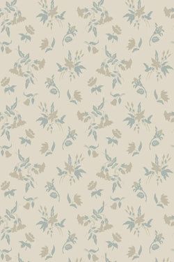 Color – Cream