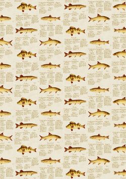 Color – Beige