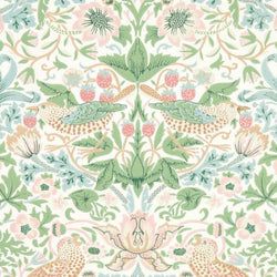 Color – Cochineal Pink