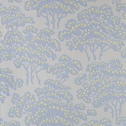 Color – Parma Gray