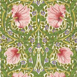 Color – Sap Green/Strawberry