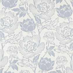 Color – Parma Gray