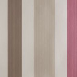 Color – Dead Salmon