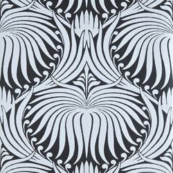 Color – Parma Gray